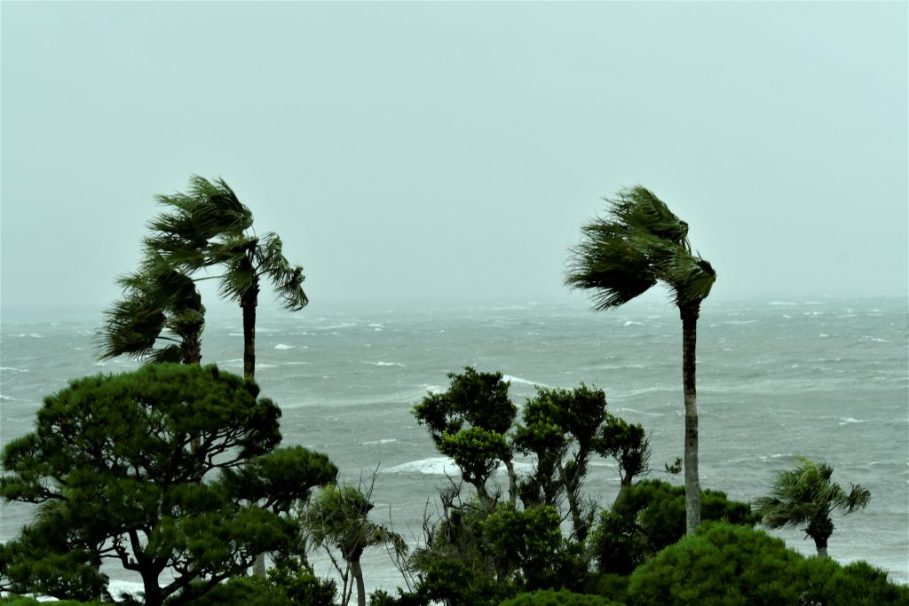 台風
